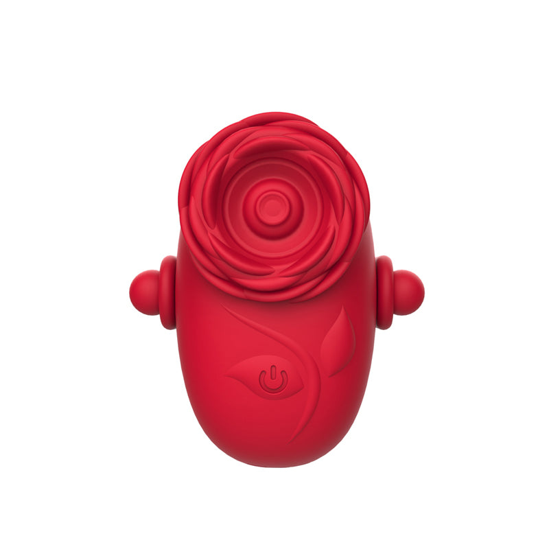 Little Rose XL0012